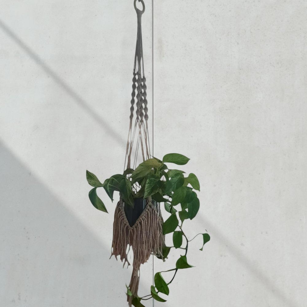 Plantenhanger "Fringe" Beige 95cm