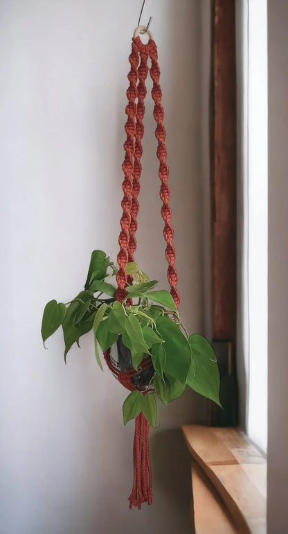 Macramé Plant Hanger DIY Kit 100cm Cafuné