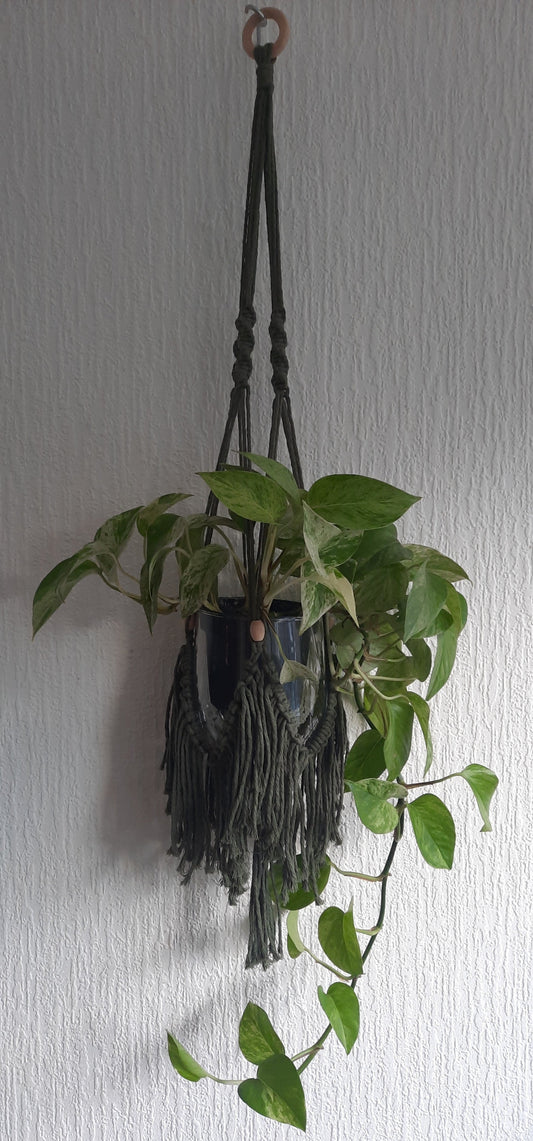 Voorbeeld plantenhanger van macrame pakket Fringe Kaki. Te koop bij decodeb.com en hobbygaren.nl