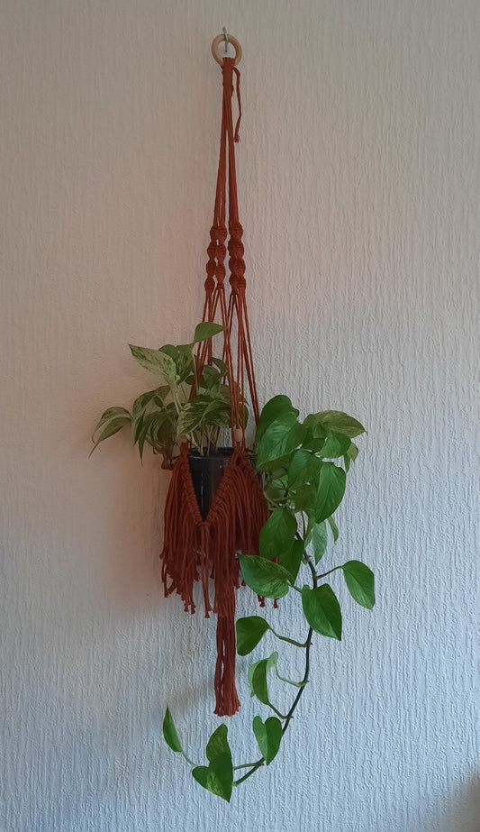 Voorbeeld plantenhanger van Macrame pakket terracotta Fringe. Verkrijgbaar bij decodeb.com en hobbygaren.nl